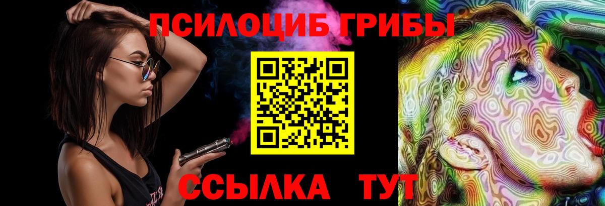Псилоцибиновые грибы мицелий  Псилоцибиновые грибы GOLDEN TEACHER  цена   Медногорск  Вход с VPN 